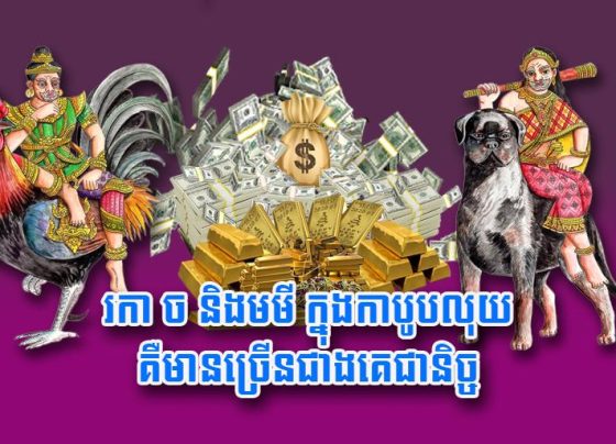 រកា ច និង​មមី ក្នុង​កាបូប​លុយ​គឺ​មាន​ច្រើន​ជាងគេ​ជា​និច្ច