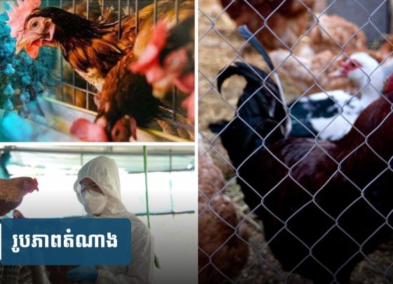 ​រកឃើញករណីផ្តាសាយបក្សី H5N1 មួយករណីទៀតលើកុមារា ៦ ឆ្នាំ នៅត្បូងឃ្មុំ