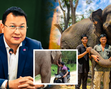 លោក ឌិត ទីណា រដ្ឋមន្រ្តីក្រសួងកសិកម្ម នឹងទទួលជួបលោក ទ្រី ស៊ីថេង ដែលជាហ្មដំរី ឡាក់គី ដើម្បីជួយរកដំណោះស្រាយ...