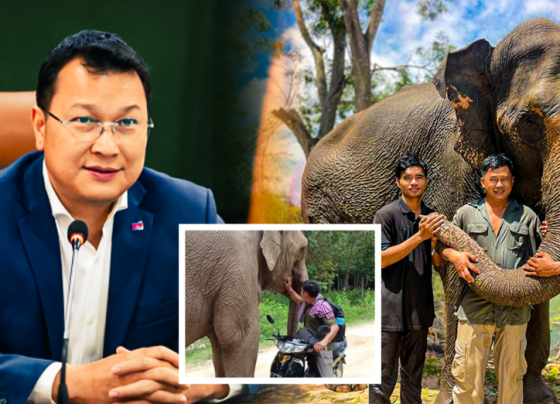 លោក ឌិត ទីណា រដ្ឋមន្រ្តីក្រសួងកសិកម្ម នឹងទទួលជួបលោក ទ្រី ស៊ីថេង ដែលជាហ្មដំរី ឡាក់គី ដើម្បីជួយរកដំណោះស្រាយ...