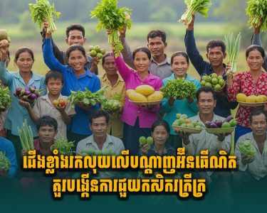 ជើងខ្លាំងរកលុយលើបណ្តាញអ៊ីនធើណិតគួរបង្កើនការជួយកសិករក្រីក្រ