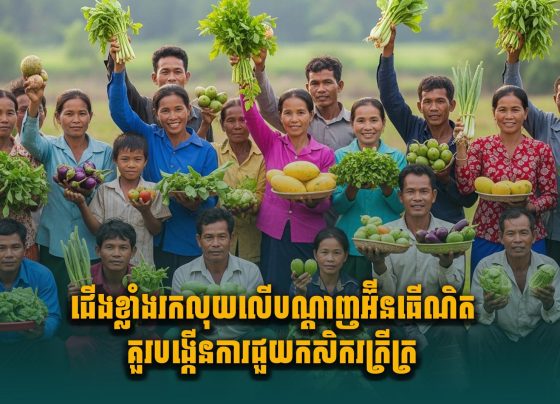 ជើងខ្លាំងរកលុយលើបណ្តាញអ៊ីនធើណិតគួរបង្កើនការជួយកសិករក្រីក្រ