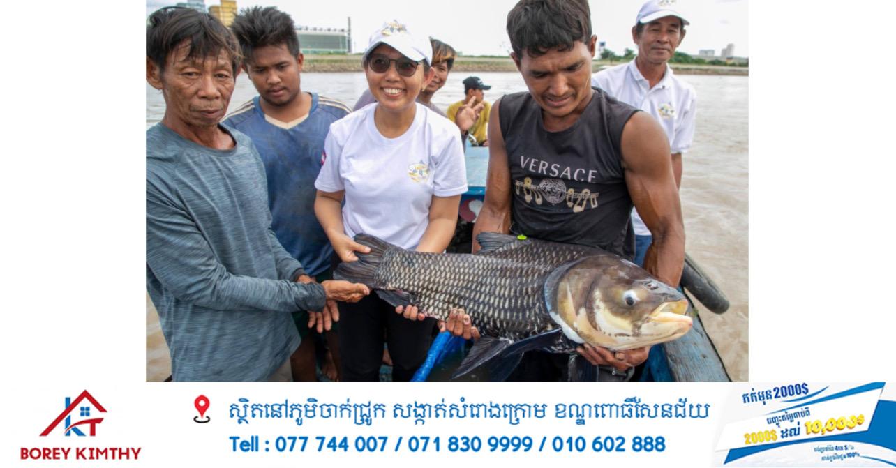 គម្រោងអច្ឆរិយភាពនៃទន្លេមេគង្គ លែងត្រីកម្រចូលទន្លេ រួមចំណែកការពារប្រព័ន្ធអេកូឡូស៊ី! 🐠