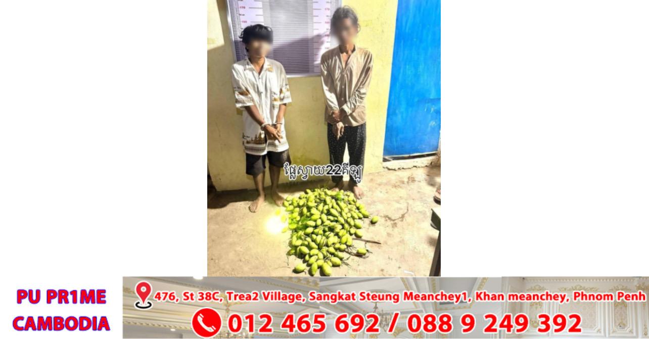 ចាប់បានភ្លាមៗ! ក្រុមជនសង្ស័យ ២នាក់ លួចបេះស្វាយ ១បាវ ក្នុងចំការប្រជាពលរដ្ឋ ត្រូវបានម្ចាស់ឃាត់ប្រគល់ឱ្យសមត្ថកិច្ច ខណៈរកឃើញមានសារធាតុញៀនក្នុងខ្លួនផង!