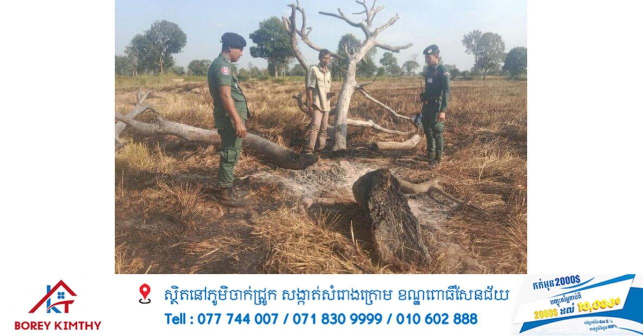 ភ្លើងឆេះស្រែអស់ ១១ ហិកតា នៅឧត្តរមានជ័យ ដោយសារការដុតគល់ឈើ