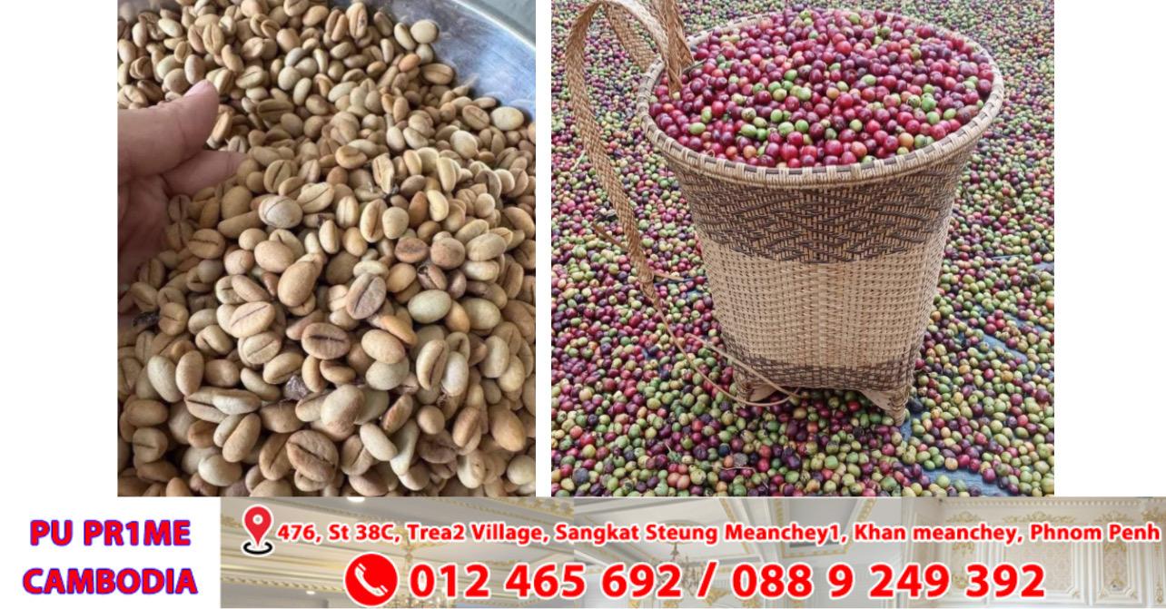 រដ្ឋមន្ត្រីដែនដីចែងពីសារៈសំខាន់នៃការរៀបចំទឹកដីដើម្បីអភិវឌ្ឍសង្គម