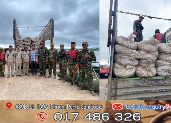 ឧត្តមសេនីយ៍ទោ សេង ធារិន បញ្ជាបង្ក្រាបបទល្មើសករណីរថយន្ត១គ្រឿងដឹកលៀសចំណីល្អិតៗទម្ងន់២០ តោន