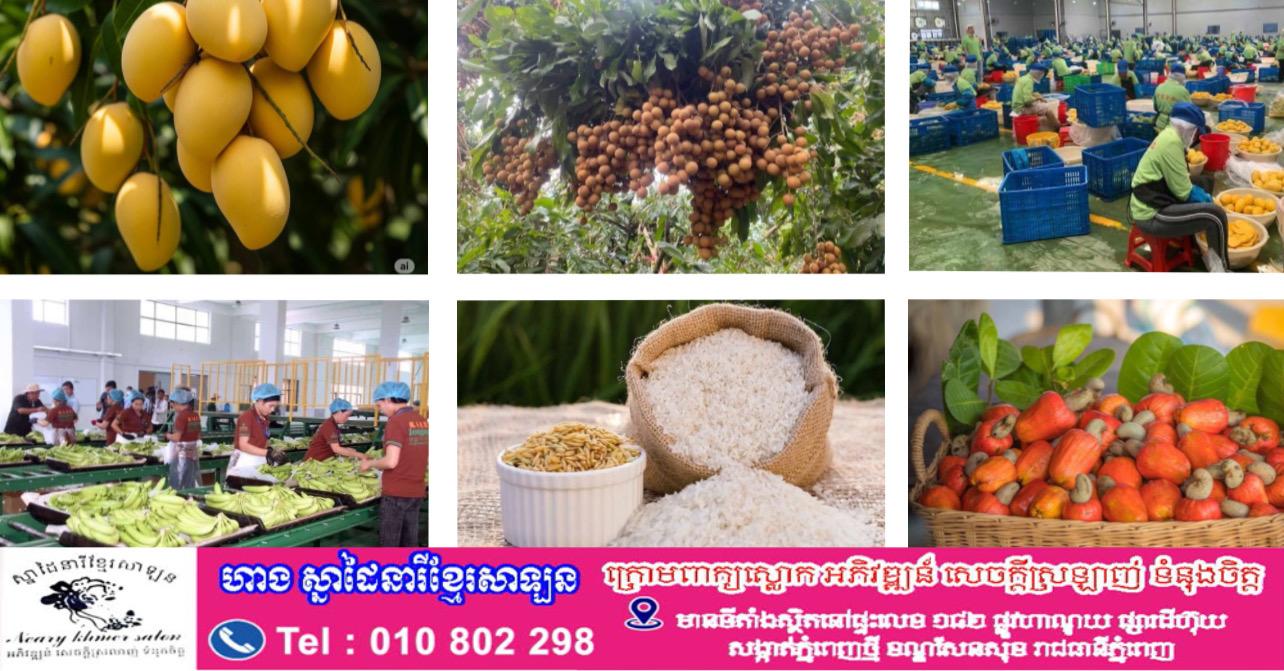 កម្ពុជា​រកចំណូលជាង ៤ពាន់លានដុល្លារ ពីការនាំចេញកសិផលជាង ១១លានតោន ត្រឹម ១០ខែ ឆ្នាំ២០២៥! កំណើនដ៏គួរឱ្យកត់សម្គាល់!