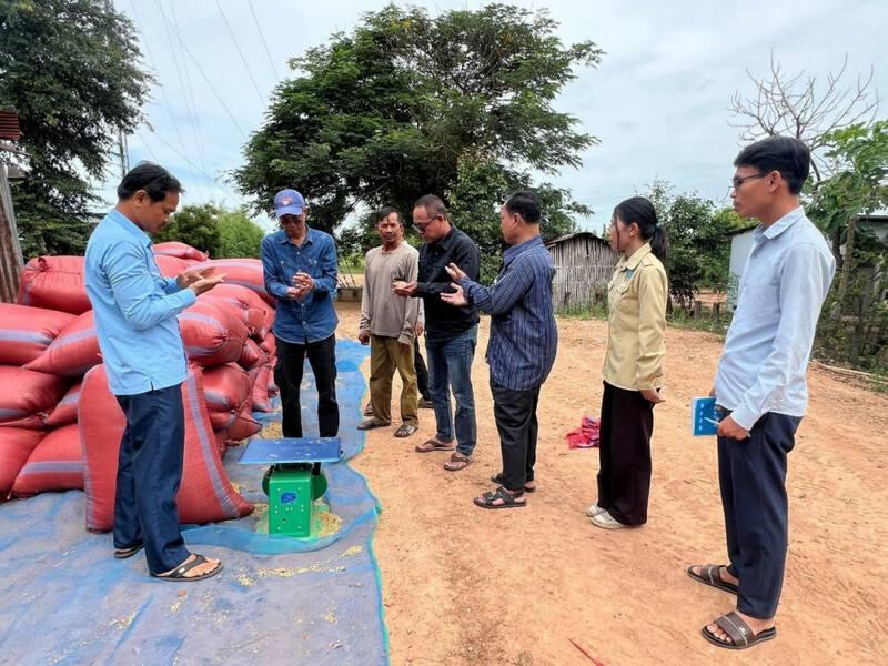 ដំណឹងល្អ! តម្លៃស្រូវផ្ការំដួល និងផ្កាម្លិះនៅខេត្តបាត់ដំបង មានសន្ទុះល្អ កសិករញញឹមបិទមាត់មិនជិត