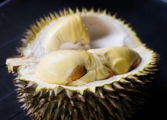 ចិន​ទិញ​ទុរេន​វៀតណាម​តម្លៃ​ជិត ១ ពាន់​លាន​ដុល្លារ​ក្នុង​ខែ​កញ្ញា