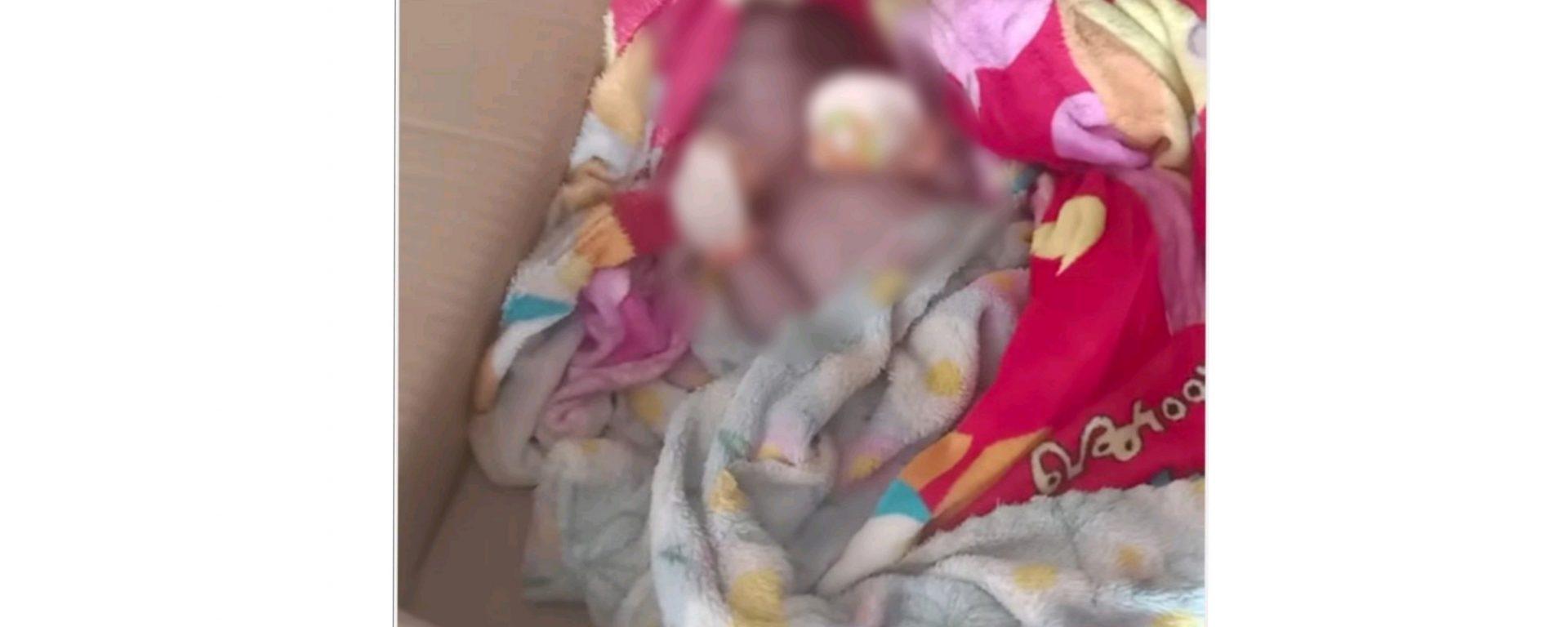 ភ្ញាក់ផ្អើលទាំងព្រឹក! ទារិការទើបកើតត្រូវគេយកទៅផ្លុងចោលទាងរស់នៅក្រុងបាវិត