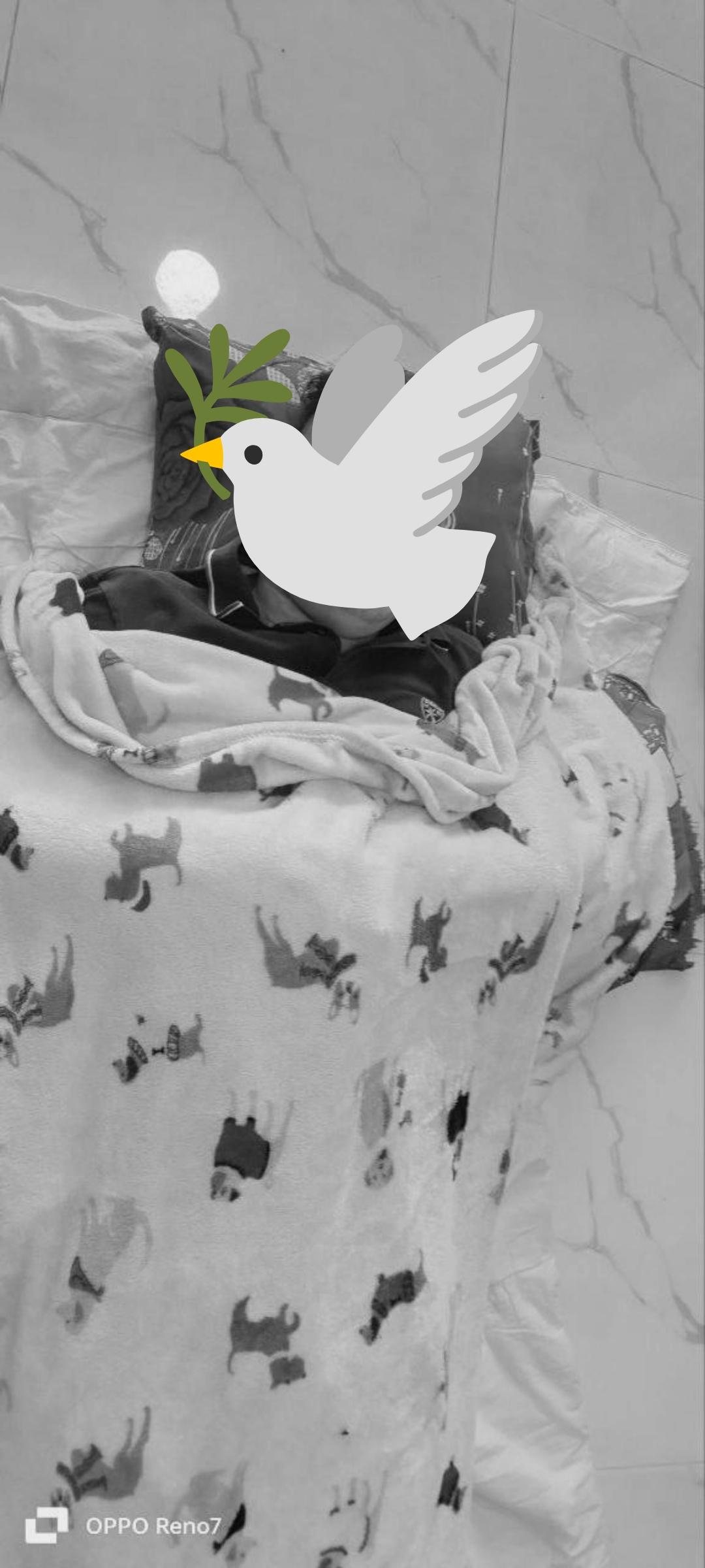 បុរសម្នាក់សម្រេចចិត្តចងកសម្លាប់ខ្លួនទាំងវ័យក្មេង ក្រោយបាត់បង់លុយក្រុមហ៊ុនជាង ២ពាន់ដុល្លារ!