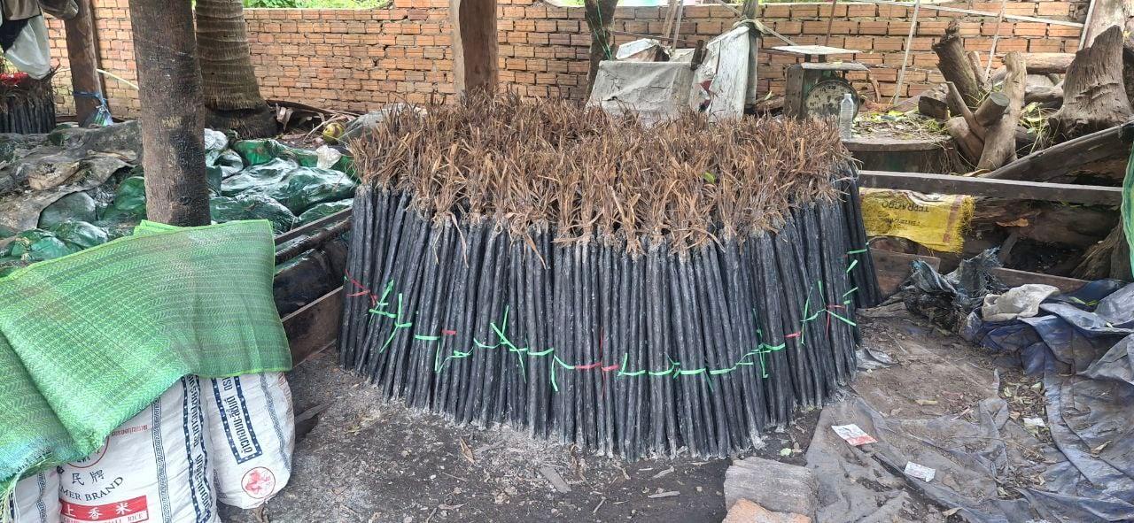 ចន្លុះដូនតា៖ ភ្លើងបំភ្លឺពីអតីតកាល រហូតមកបច្ចុប្បន្ននៅតែមានតម្លៃ! 🔥