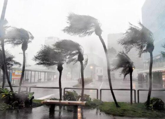 សូម​ប្រុង​ប្រយ័ត្ន​! កម្ពុជា​រង​ឥទ្ធិពល​ព្យុះ​ទី​២៥ «​កាល​ម៉េ​ហ្គី​»​ធ្វើ​ឲ្យ​មាន​ភ្លៀង​ធ្លាក់ ផ្គរ រ​ន្ទៈ និង​ខ្យល់​កន្ត្រាក់