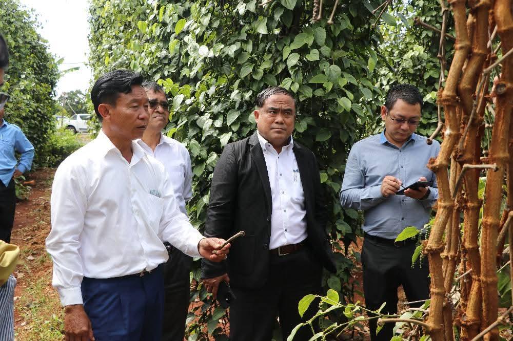 ក្រុមការងារ​ជំរុញ​វិនិយោគ​ភូមិភាគ​ឦសាន​ចុះ​ជួប​ក្រុមហ៊ុន​នៅ​មណ្ឌលគិរី ជំរុញ​ការ​អភិវឌ្ឍ​សេដ្ឋកិច្ច​ឆ្នាំ២០២៥-២០២៨