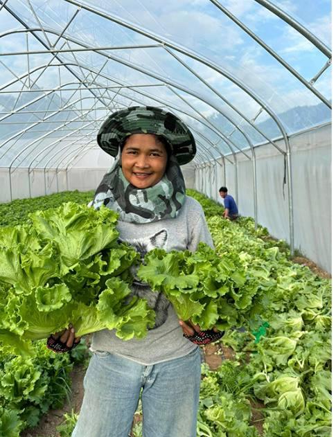 តាកែវឆ្ពោះទៅជាតំបន់កសិ-ទេសចរណ៍ថ្មី! សហគមន៍បន្លែផ្ទះសំណាញ់ត្រាំកក់នឹងក្លាយជាកន្លែងទស្សនាកសិកម្មទំនើប