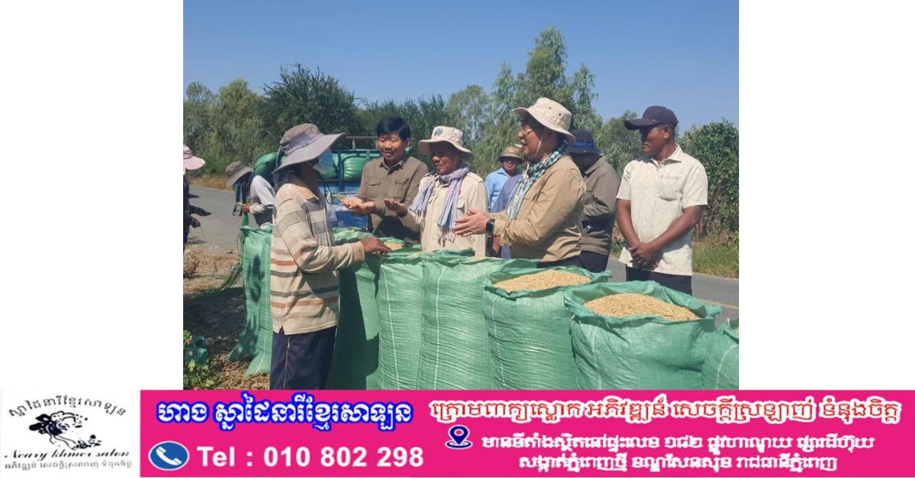 ក្រសួងកសិកម្មចុះតាមដានការនាំចេញស្រូវ ទៅវៀតណាមជិត ៧០៤ ពាន់តោន