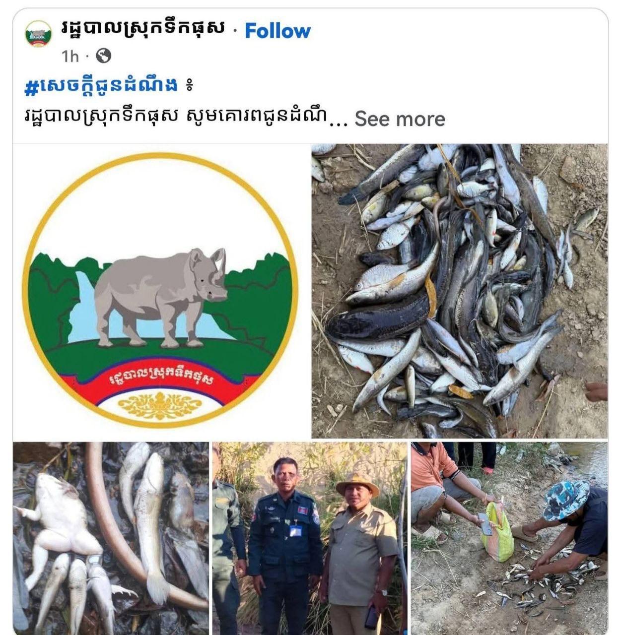 ត្រីរាប់ពាន់ក្បាលងាប់ក្នុងអូរឬស្សី ដោយសារសារធាតុពុលទឹកនៅស្រុកទឹកផុស