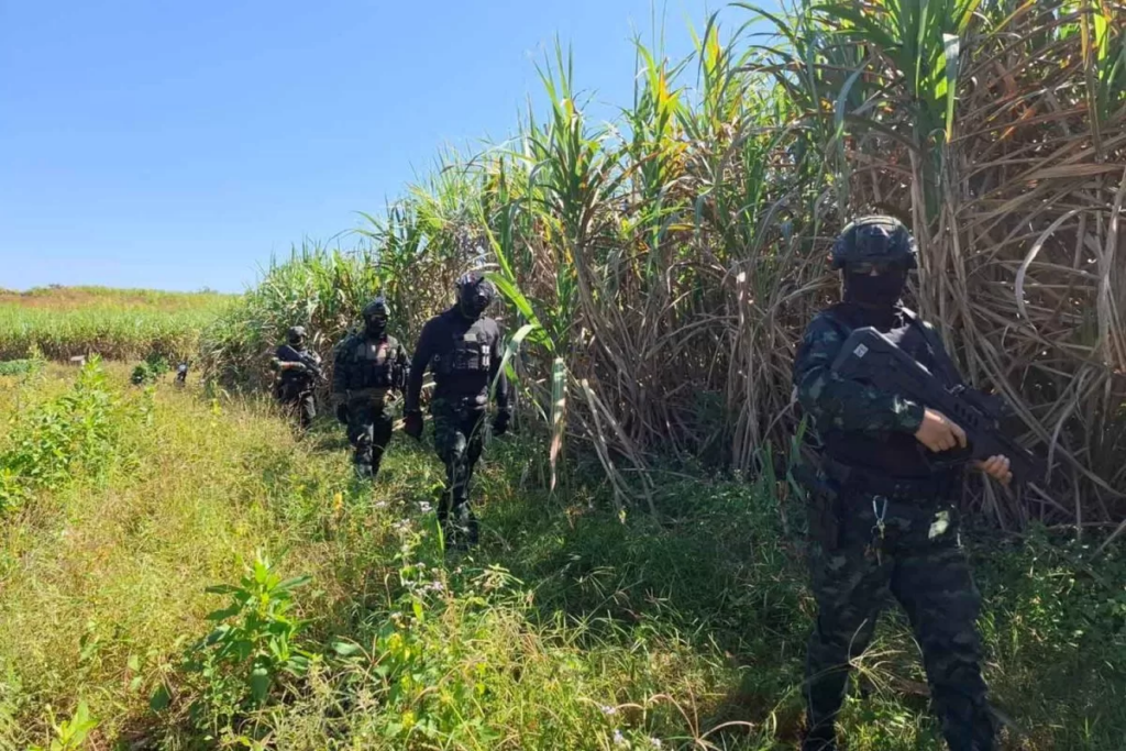 ថៃរត់ស្បែកជើងជម្លៀសពលរដ្ឋ បើកសមរភូមិព្រំដែនជាប់មីយ៉ាន់ម៉ា