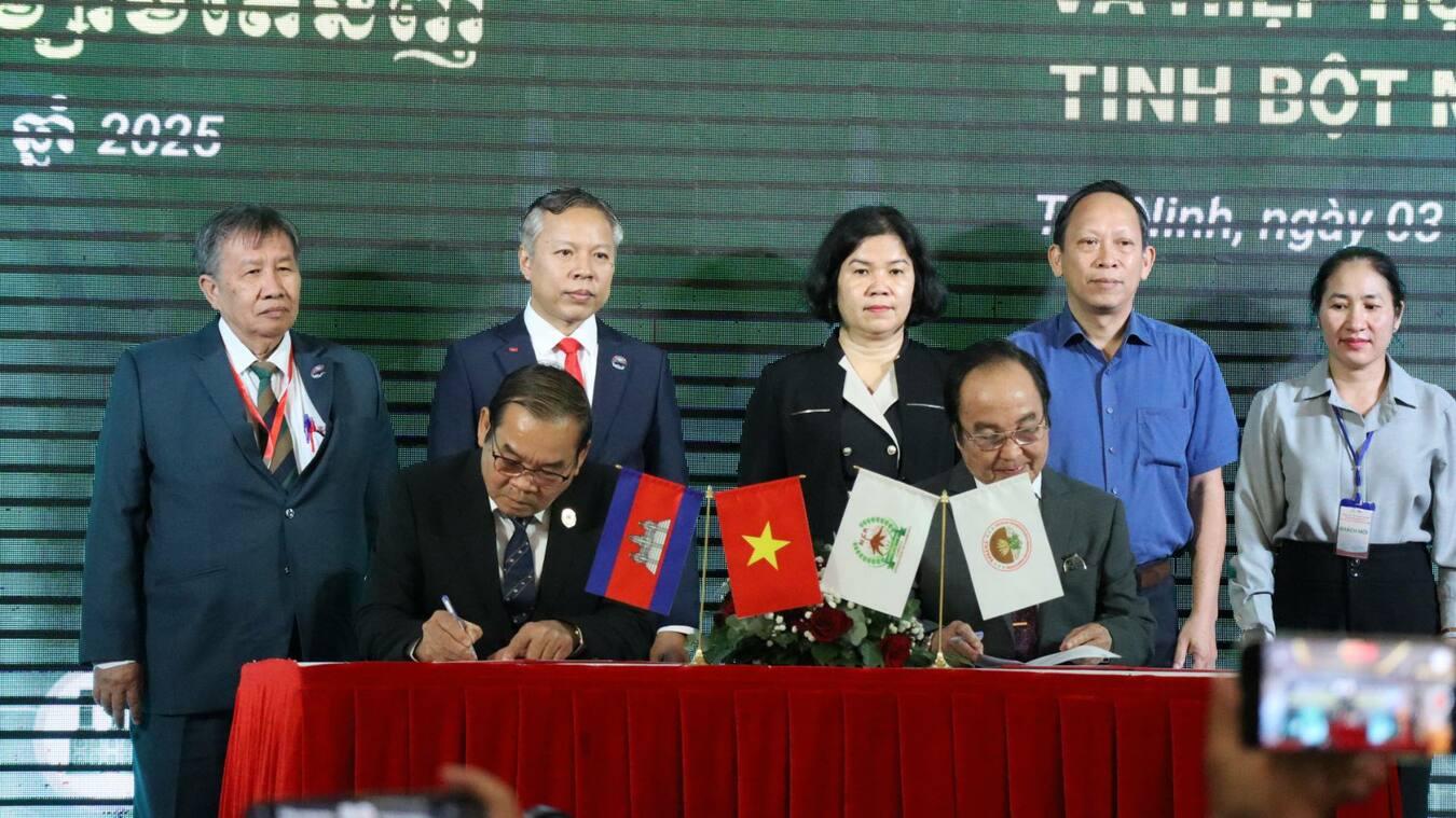 កម្ពុជាចុះកិច្ចសន្យានាំចេញដំឡូងមីស្រស់ជិត៧លានតោនទៅវៀតណាម រយៈពេល៥ឆ្នាំ