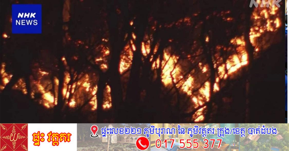 ភ្លើងឆេះព្រៃរាលដាលខ្លាំងនៅខេត្តហ្គុនម៉ា ជប៉ុន បំផ្លាញព្រៃឈើជាង ២១ ហិកតា