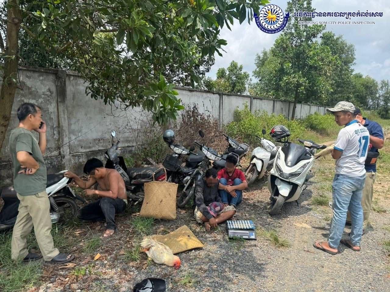 នគរបាលកំពង់សោមចាប់ក្រុមលេងល្បែងជល់មាន់ ឃាត់ខ្លួន ៣នាក់រួមទាំងមាន់ជល់ និងឧបករណ៍លេងល្បែង