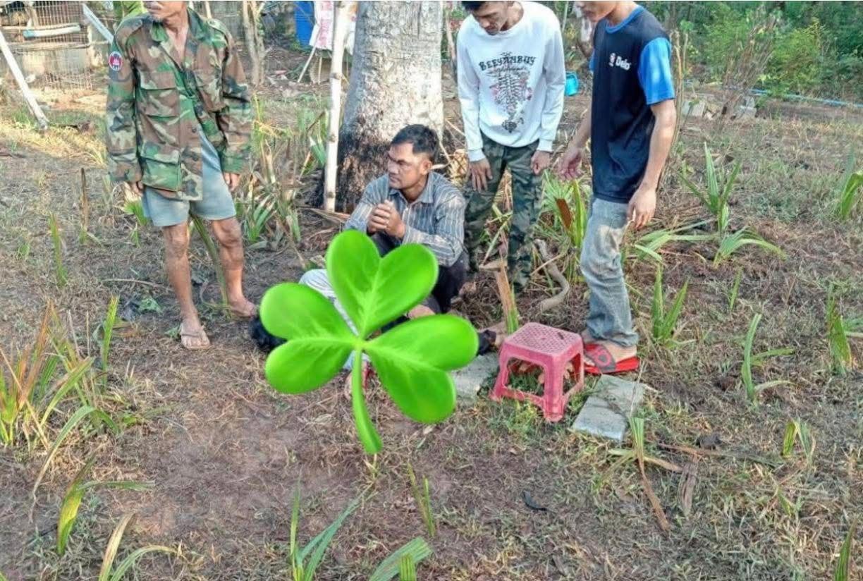 ជនសង្ស័យកាប់សម្លាប់យាយតាប្តីប្រពន្ធនៅកំពត ដោយសង្ស័យគុំនំ