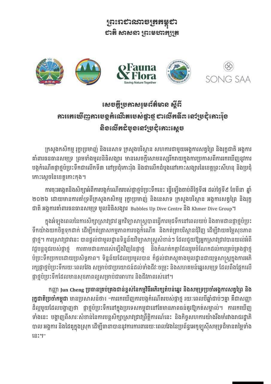ជោគជ័យថ្មី! កម្ពុជារកឃើញការបង្កកំណើតផ្កាថ្មប៉ប្រះទឹក ជាលើកទី៣ និងជាលើកដំបូងនៅកោះស្តេច