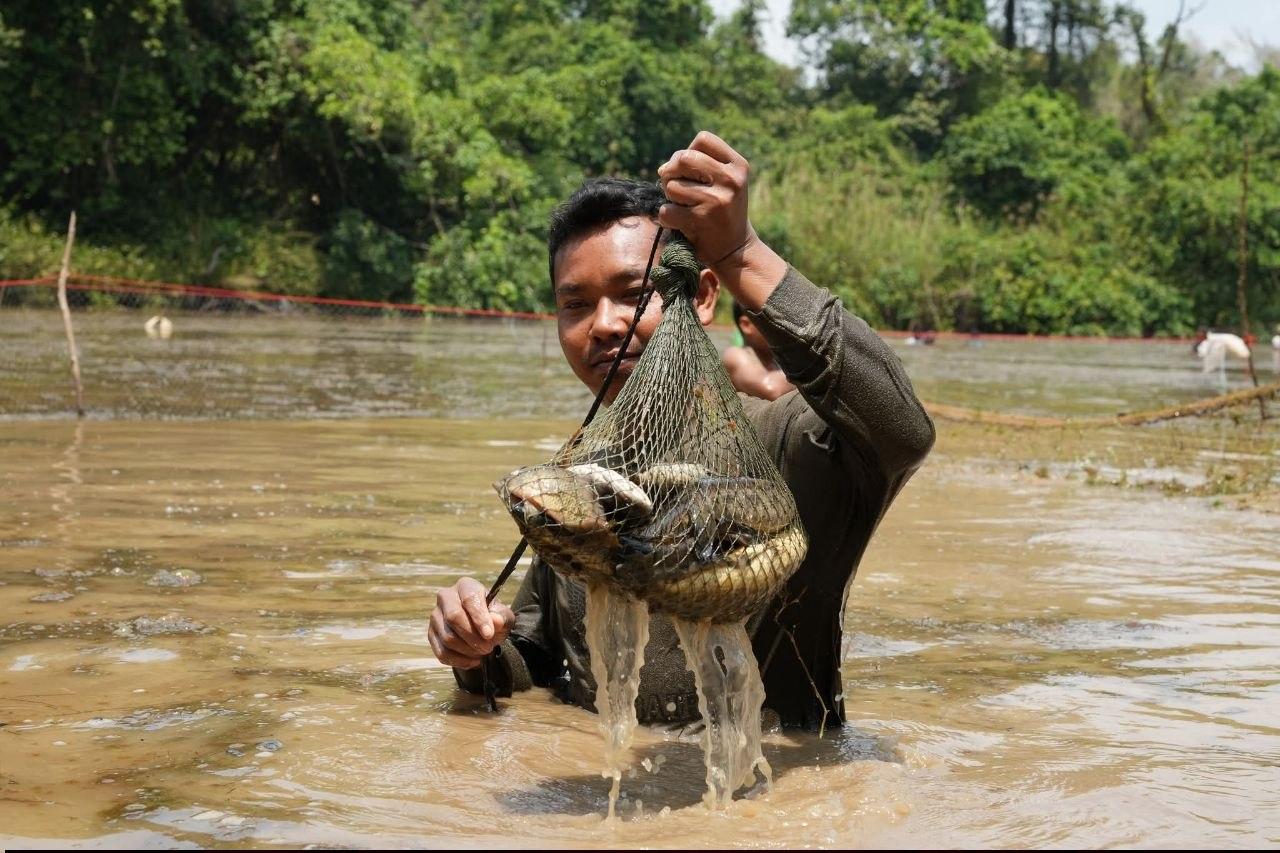 ពិធីបុណ្យចាប់ត្រីប្រពៃណីជនជាតិជង នៅតំបន់អារ៉ែង ខេត្តកោះកុង