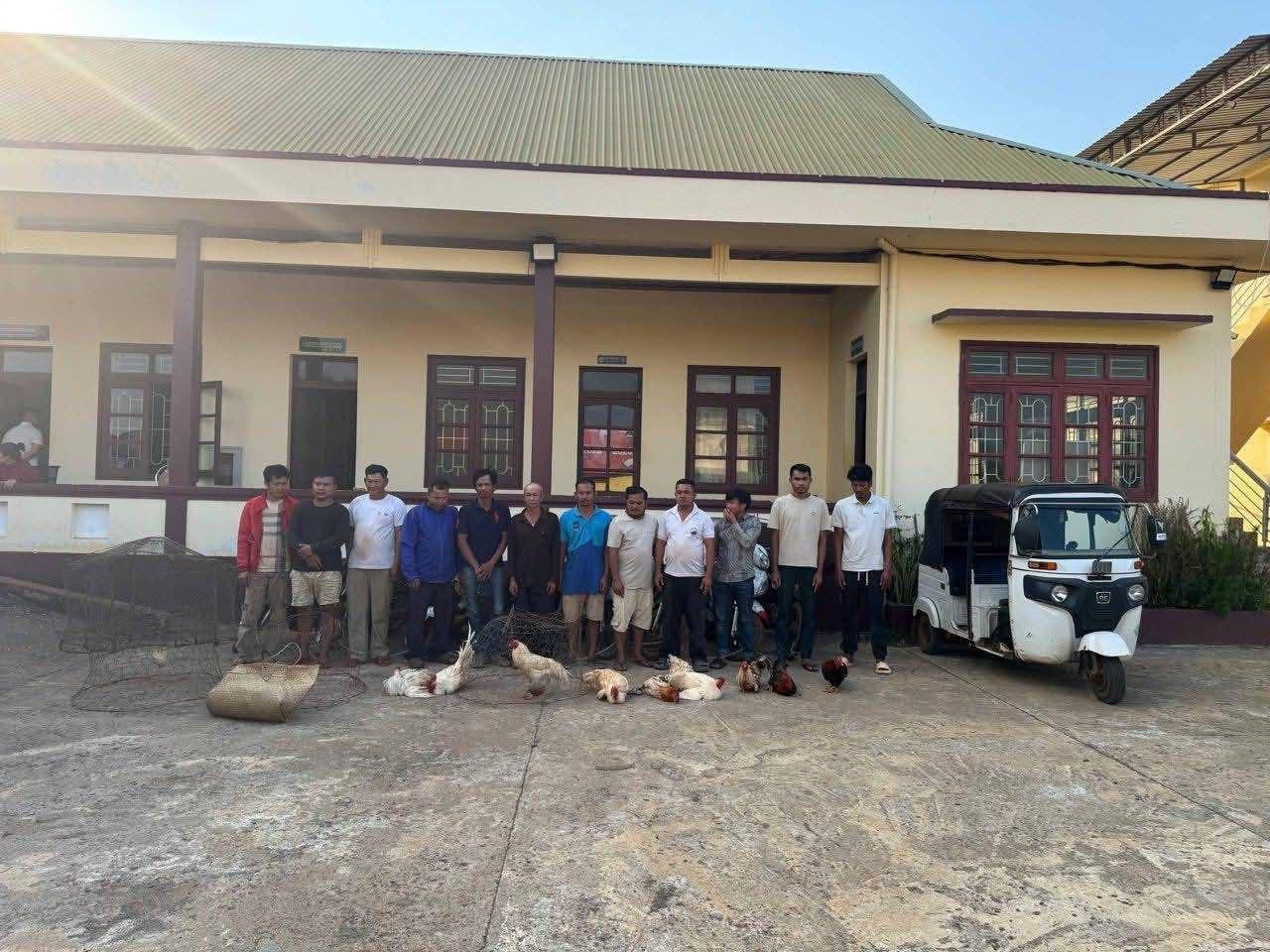 កម្លាំងជំនាញចុះបង្ក្រាបសង្វៀនជល់មាន់ខុសច្បាប់នៅមណ្ឌលគិរី ឃាត់ខ្លួន១២នាក់