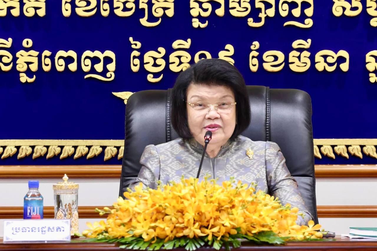 រដ្ឋសភានឹងពិនិត្យច្បាប់ប្រឆាំងការឆបោកតាមប្រព័ន្ធបច្ចេកវិទ្យា នៅព្រឹកស្អែកនេះ