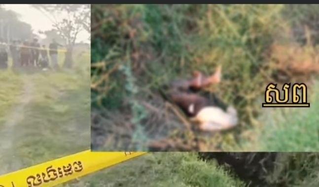 សាកសពបុរសអាយុ ៥០ឆ្នាំត្រូវបានគេរកឃើញស្លាប់ក្នុងទឹកប្រឡាយ មានស្នាកស្នាមរបួសក្បាលនិងខ្សែក្រវ៉ាត់រឹតក