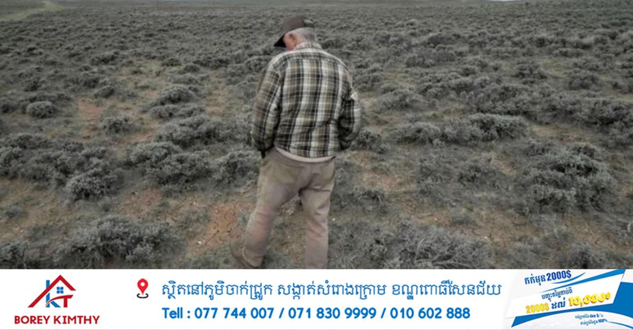 គ្រោះរាំងស្ងួតកំណត់ត្រានៅសហរដ្ឋអាមេរិក គំរាមកំហែងដល់កសិកម្ម និងភ្លើងឆេះព្រៃ