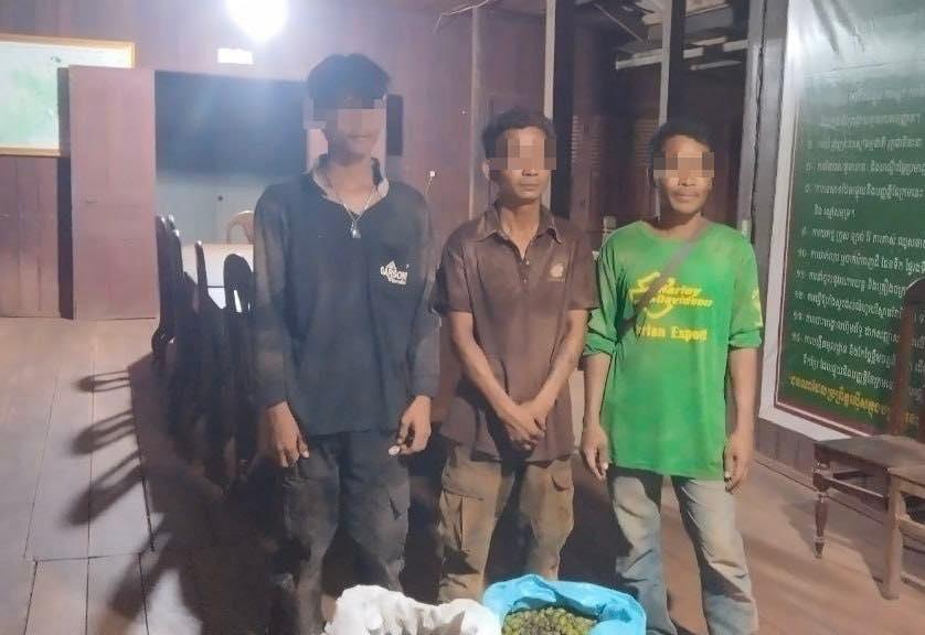 ឃាត់ខ្លួនបុរស៣នាក់ក្រោយកាប់ដើមសំរងខុសច្បាប់ក្នុងឧទ្យានជាតិវីរៈជ័យ