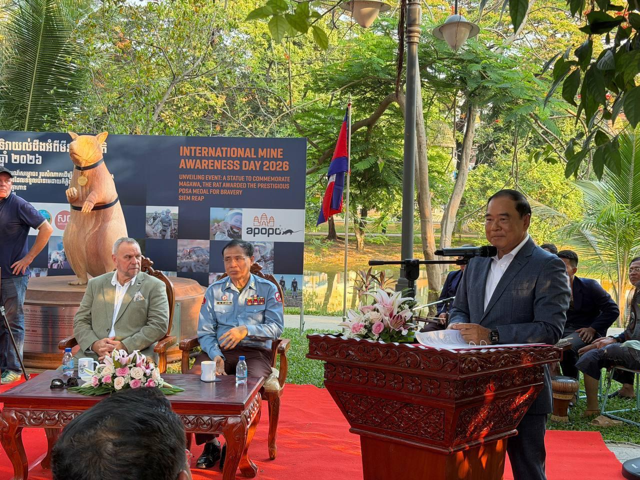 វីរកណ្តុរ Magawa បានរកឃើញមីនជាង ១០០គ្រាប់ បើកផ្លូវសុវត្ថិភាពឱ្យប្រជាជនកម្ពុជា