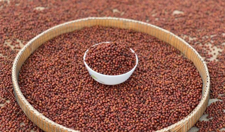 ដើមឆ្នាំ២០២៦ នាំចេញម្រេចកម្ពុជាទទួលបានជាង ៩លានដុល្លារ កើនឡើង ៨៥%