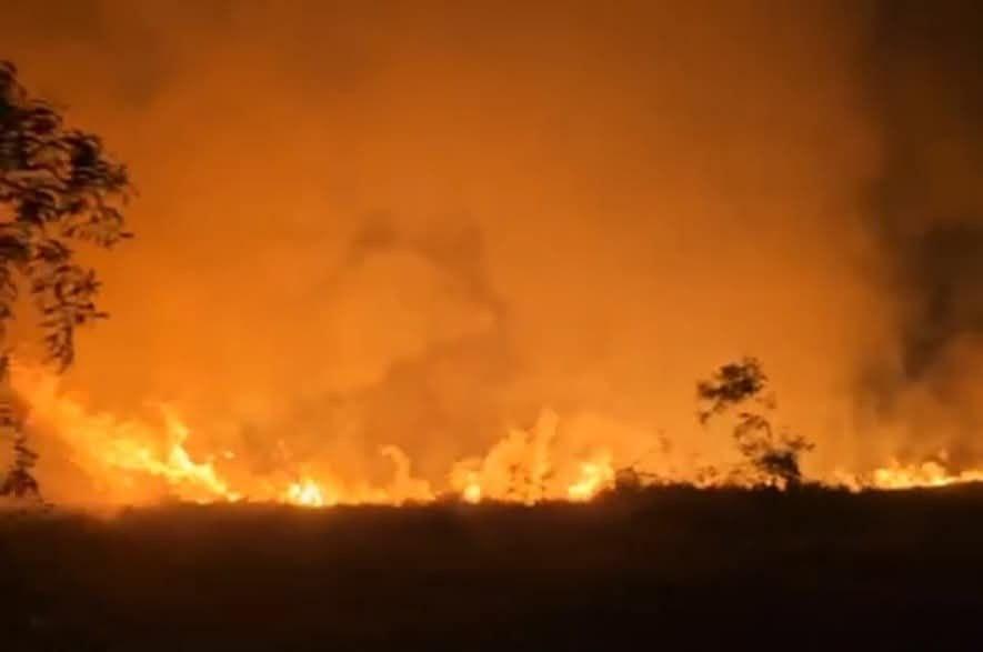 ភ្លើងឆាបឆេះព្រៃទាំងយប់នៅបាវិត សមត្ថកិច្ចបាញ់ពន្លត់បានទាន់ពេល