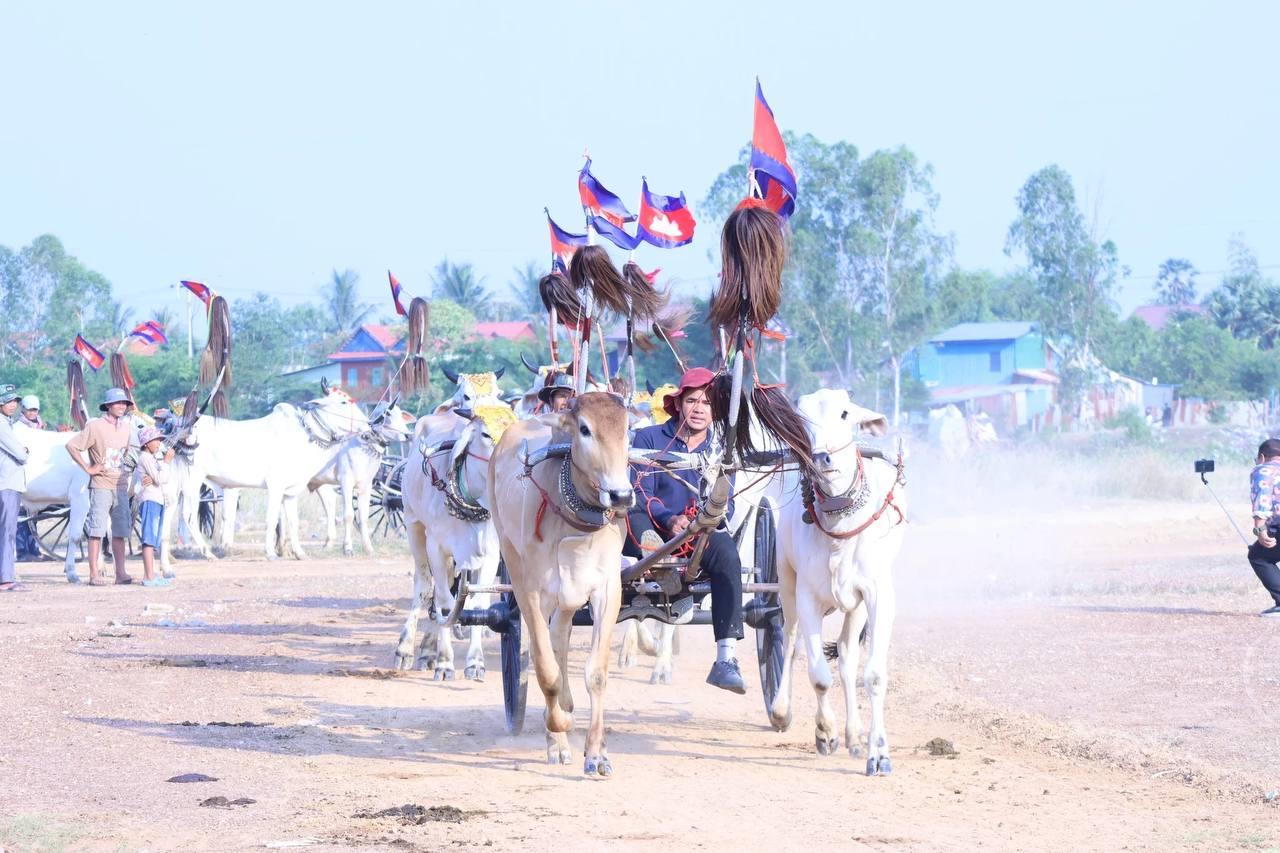 ពិធីប្រណាំងរទេះសាឡីគោលឿនឆ្នាំ២០២៦ ប្រកួតគ្នាដោយគោ៨០នឹមពី៣ខេត្តក្រុង