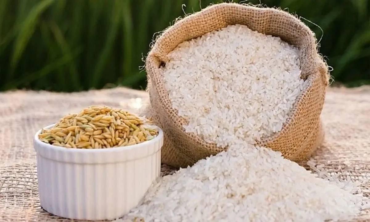 កម្ពុជារកចំណូលជិត ២១០ លានដុល្លារ ពីការនាំចេញអង្ករក្នុង ៣ខែដំបូងឆ្នាំ២០២៦