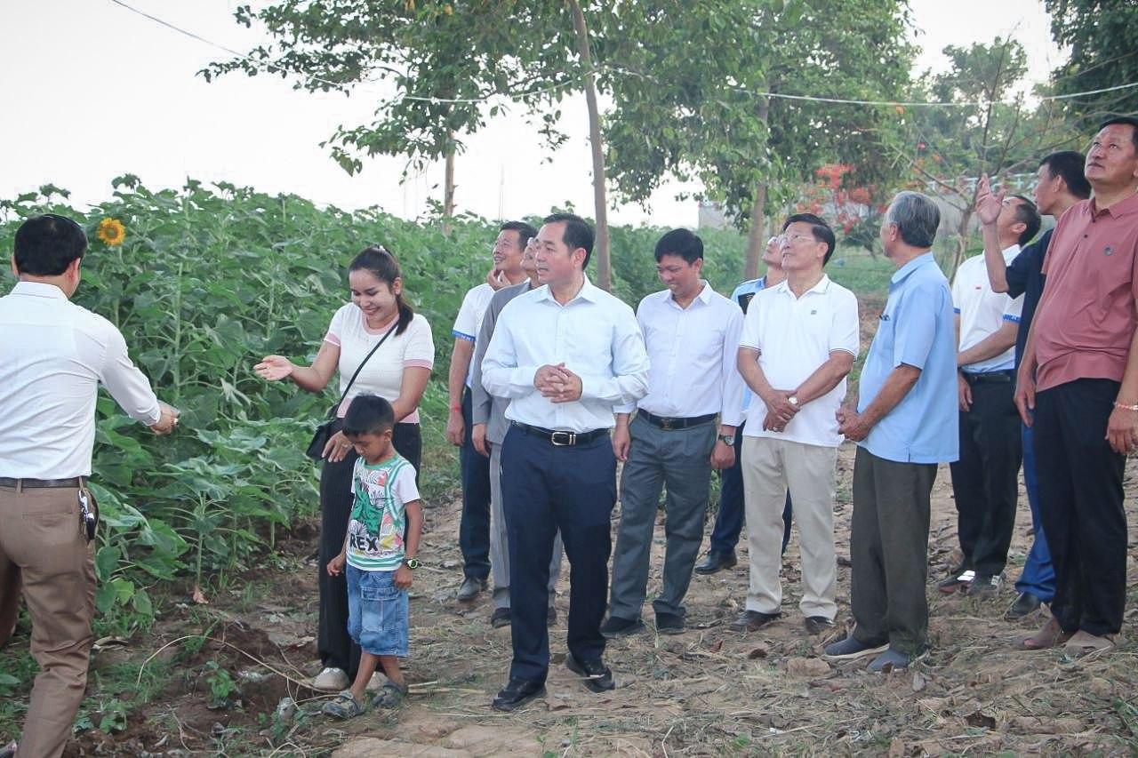 សួនផ្កាចម្រុះពណ៌មាត់ទន្លេកំពង់ចាម កំពុងរីកស្រស់ទាក់ទាញភ្ញៀវរាប់ពាន់នាក់មកទស្សនា