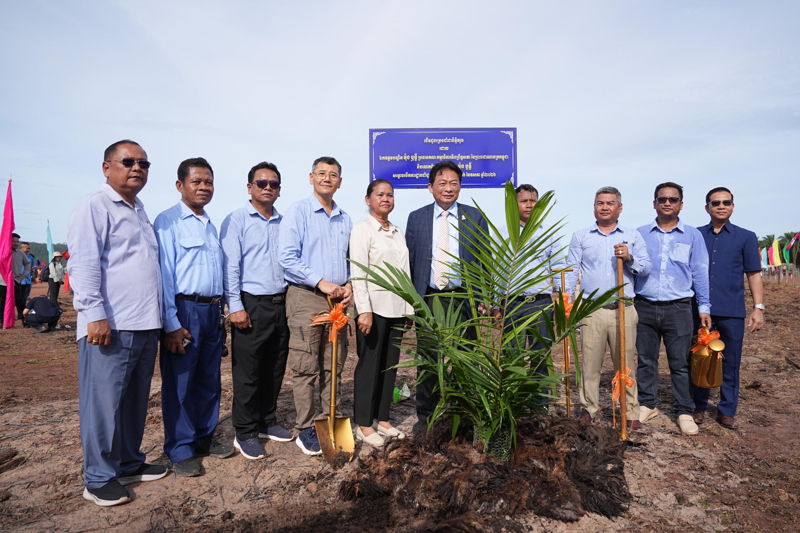 កម្ពុជាបោះជំហានយក្ស! ប្រេងដូងវាយលុកទីផ្សារពិភពលោក ៨០% ទុកតែ ២០% ផ្គត់ផ្គង់ក្នុងស្រុក