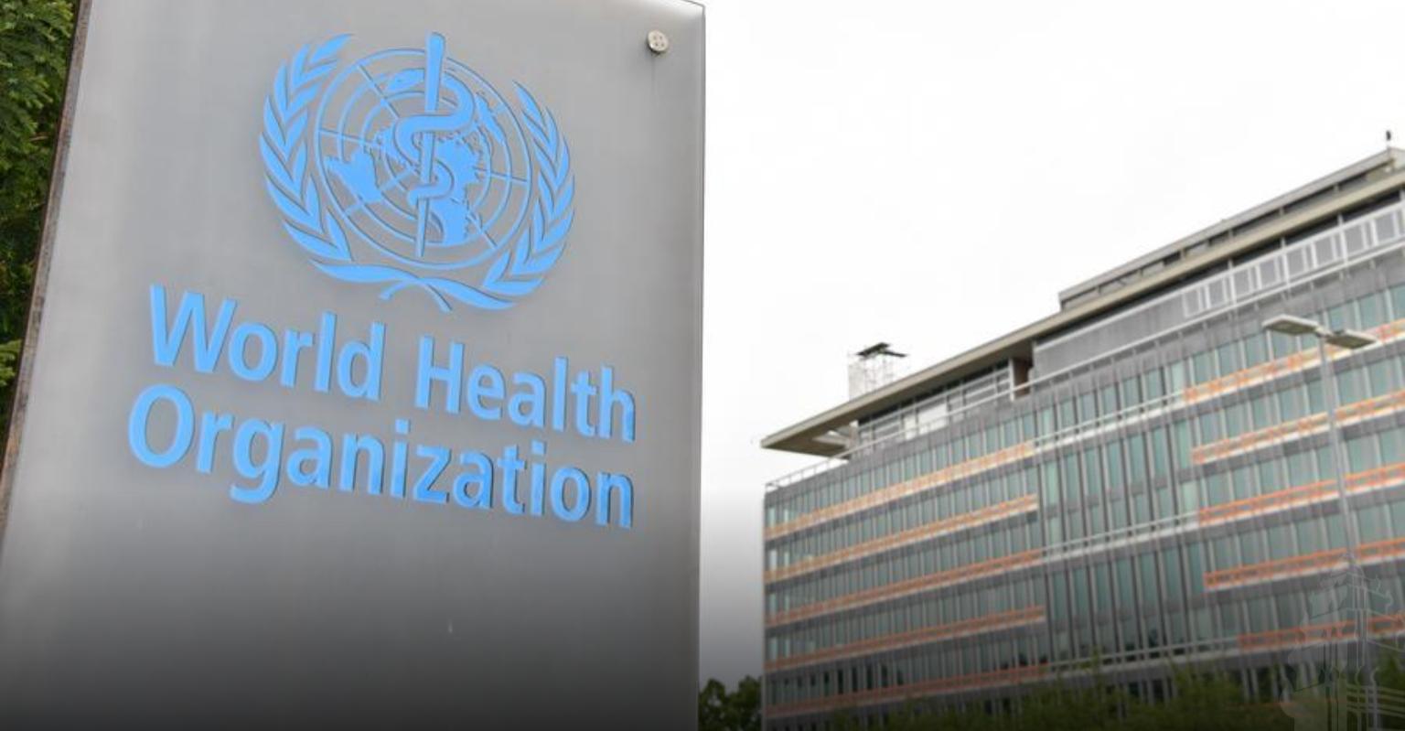 WHO បញ្ជាក់ថា Hantavirus មិនមែនជាគ្រោះថ្នាក់កម្រិតសកលដូចកូវីដ-១៩ ឡើយ បន្ទាប់ពីផ្ទុះនៅលើនាវាទេសចរណ៍