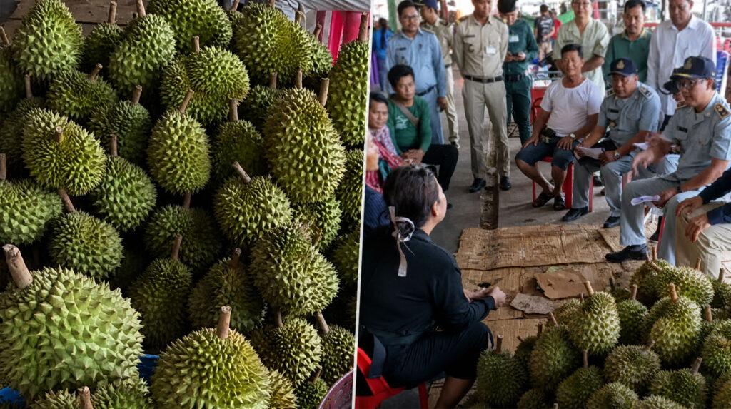 ទុរេនរាប់តោននៅផ្សារភូពុយបន្តលក់ក្រោយមន្ត្រីជំនាញចុះត្រួតពិនិត្យ និងប្រមូលសំណាកពិនិត្យរកសារធាតុគីមី